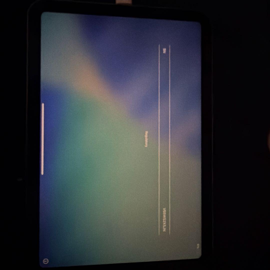 iPadmini6 64GB グレー ケース付き 箱なし 美品！