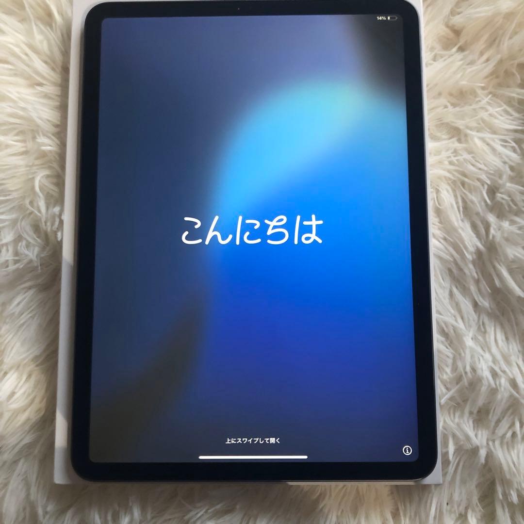 【ラスト1台】iPad Pro 11 256GB 【すぐ発送】
