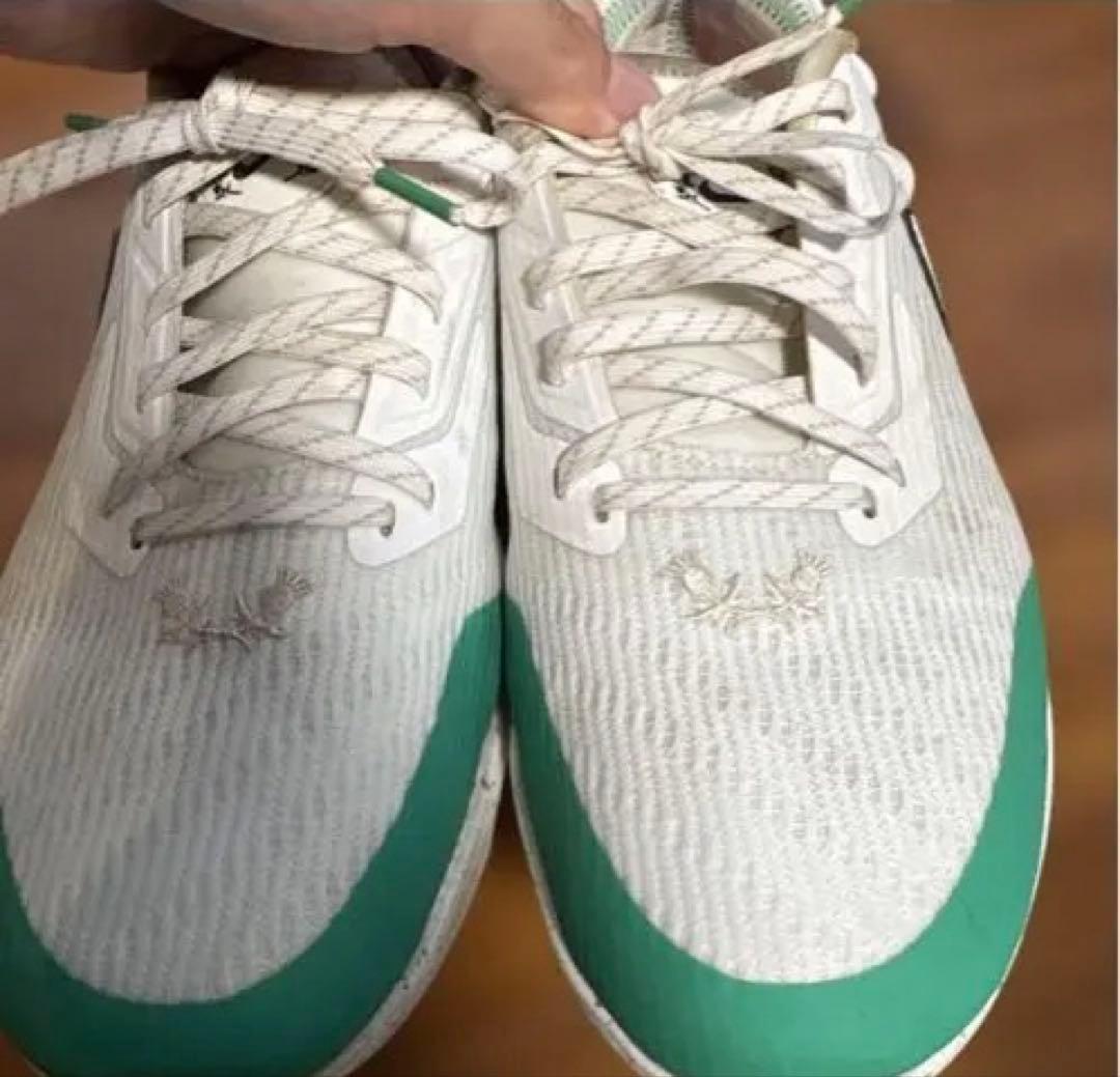 【最終価格】限定レア物　NIKEゴルフシューズ　BACK26.5サイズ