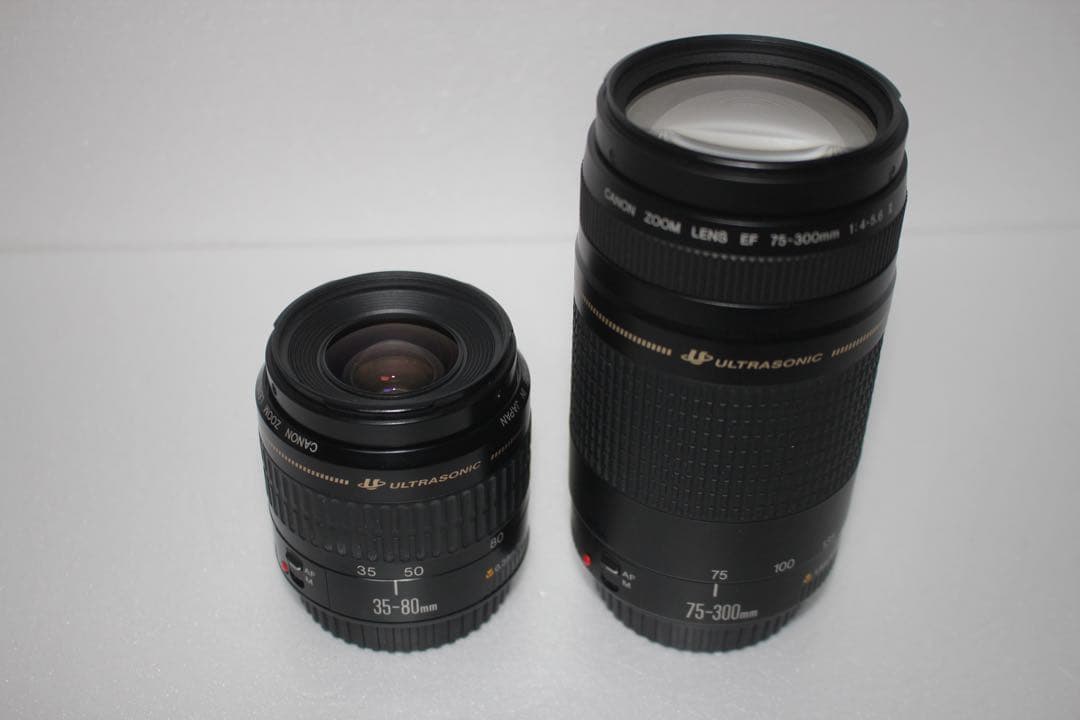 一眼レフカメラ/Canon EOS 90D標準&望遠ダブルレンズセット