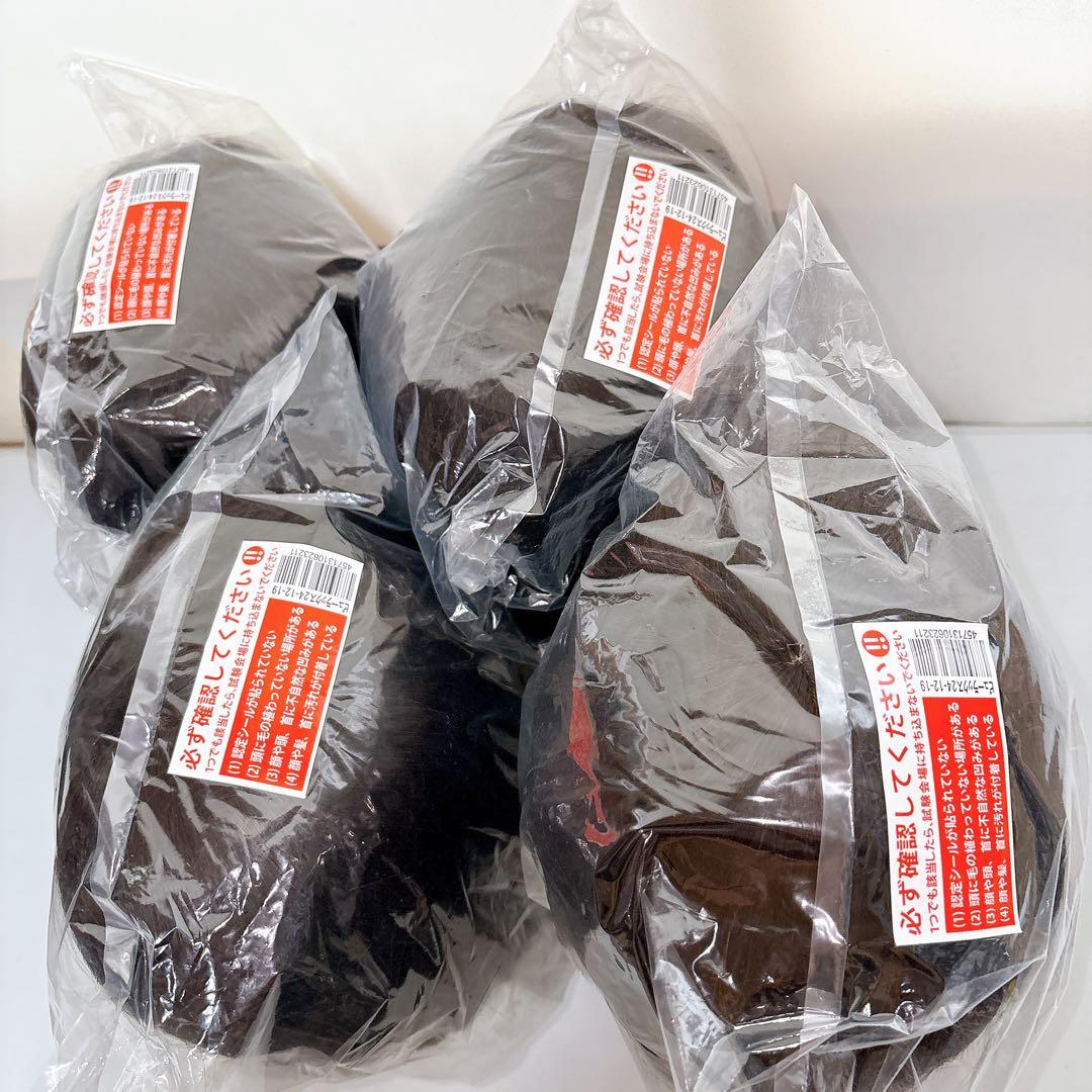 【新品】美容師 国家試験本番用カットウィッグ 24-12-19