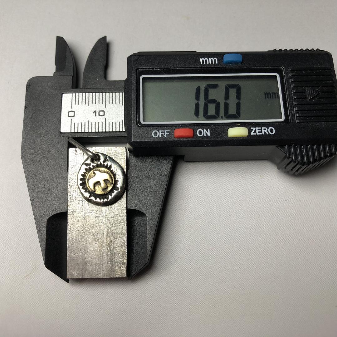 ムオニオナルスタ隕石　メッキ処理済み　ペンダントトップ　 鉄隕石　重さ約31ｇ