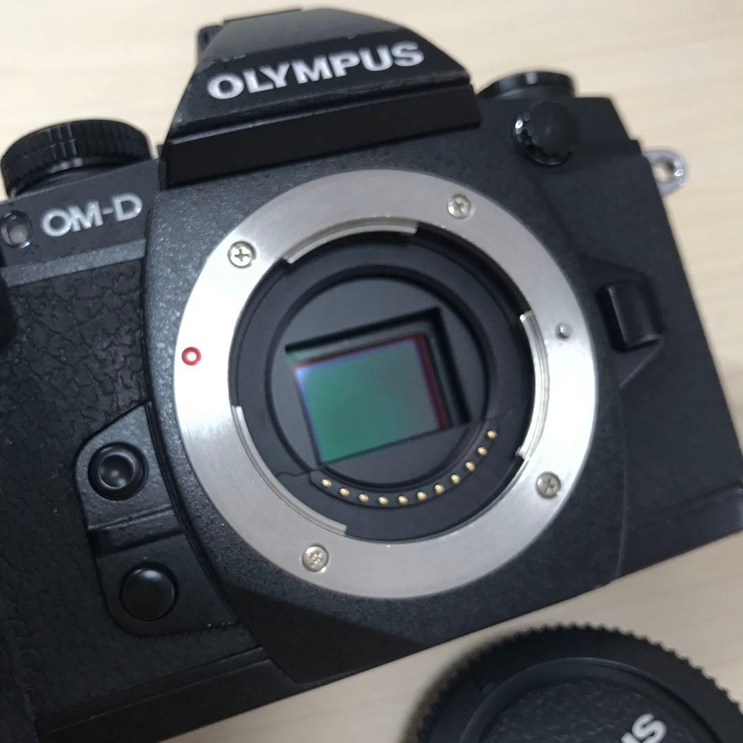 デジタルカメラ OLYMPUS OM-D E-M1