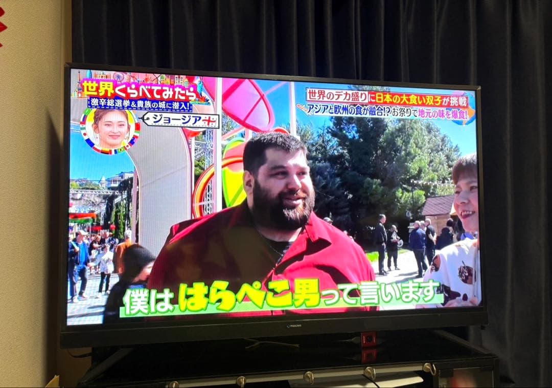 サルゲッチュ maxzen ハイビジョン液晶テレビ