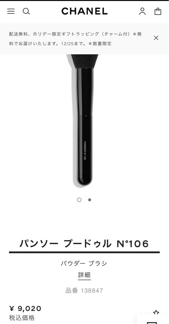 LES PINCEAUX DE CHANELブラシセット N°110 N°106