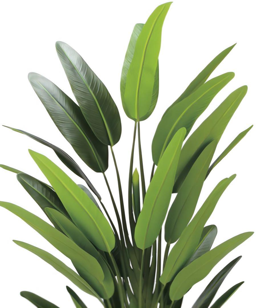 光触媒　人工観葉植物　フェイクグリーン　フレッシュトラベラーズパーム1.7m