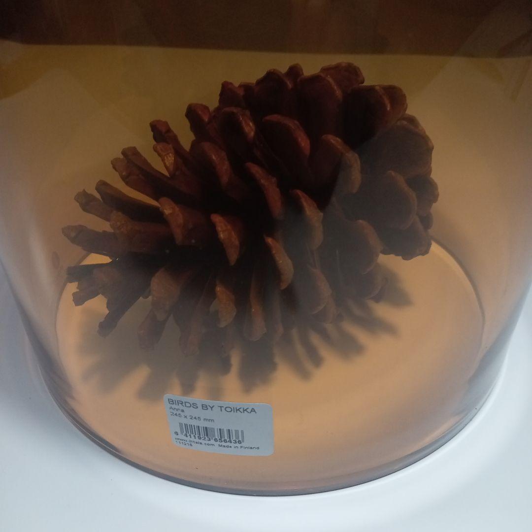 イッタラバード　Anna