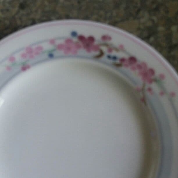 NIKKOのお皿２枚お値下げしました。