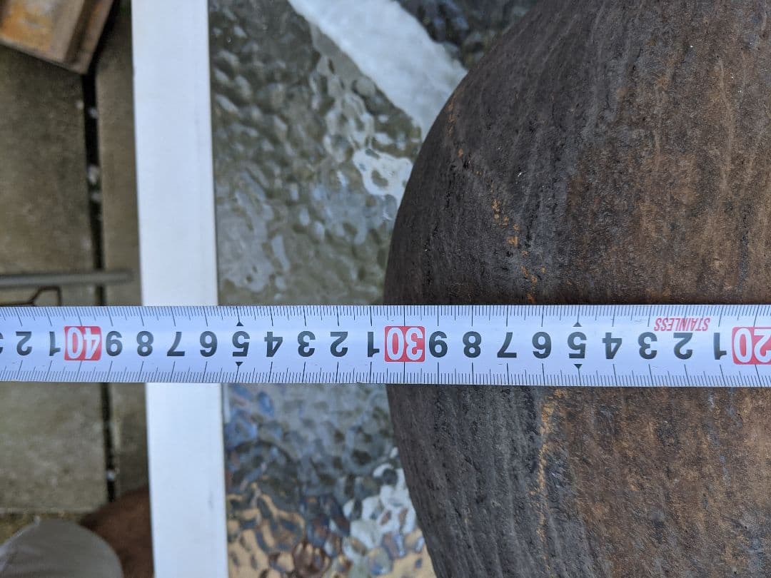 フタゴヤシ　種