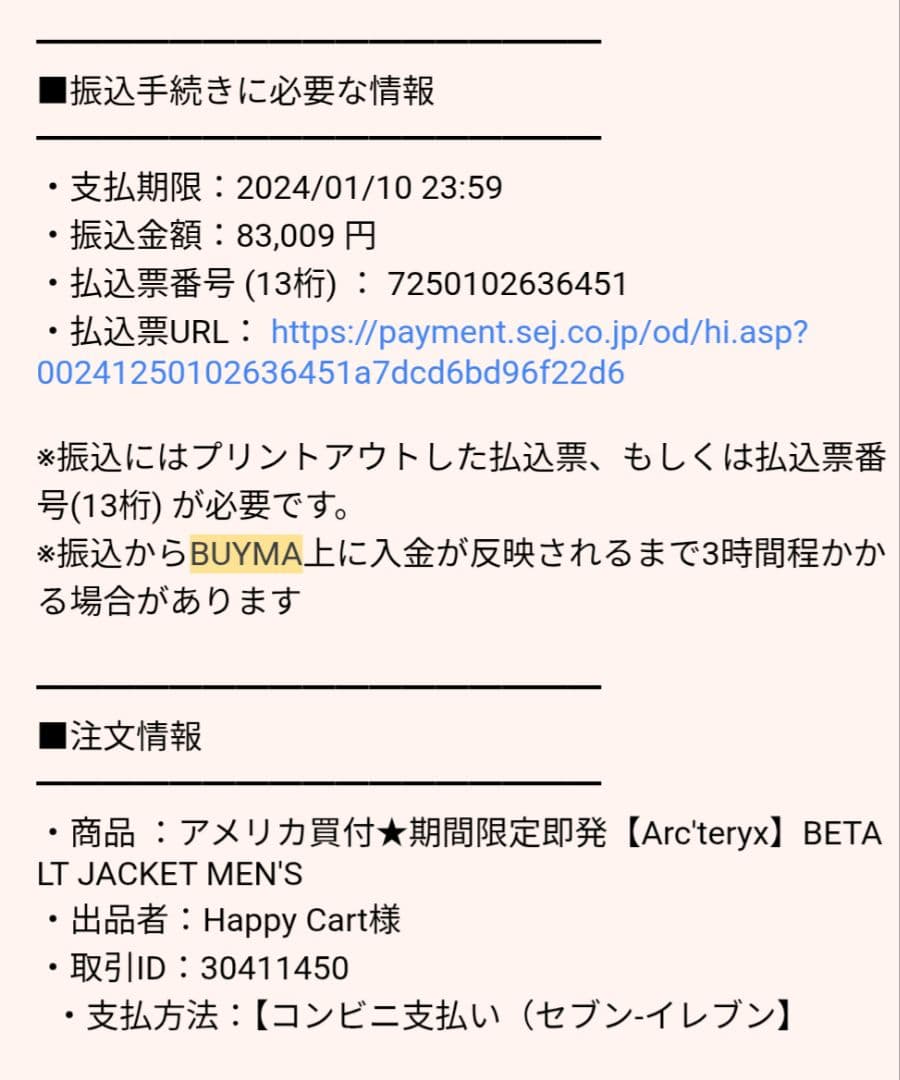 ARC'TERYX　BETA LT JACKET　【Lサイズ】　廃盤　希少モデル