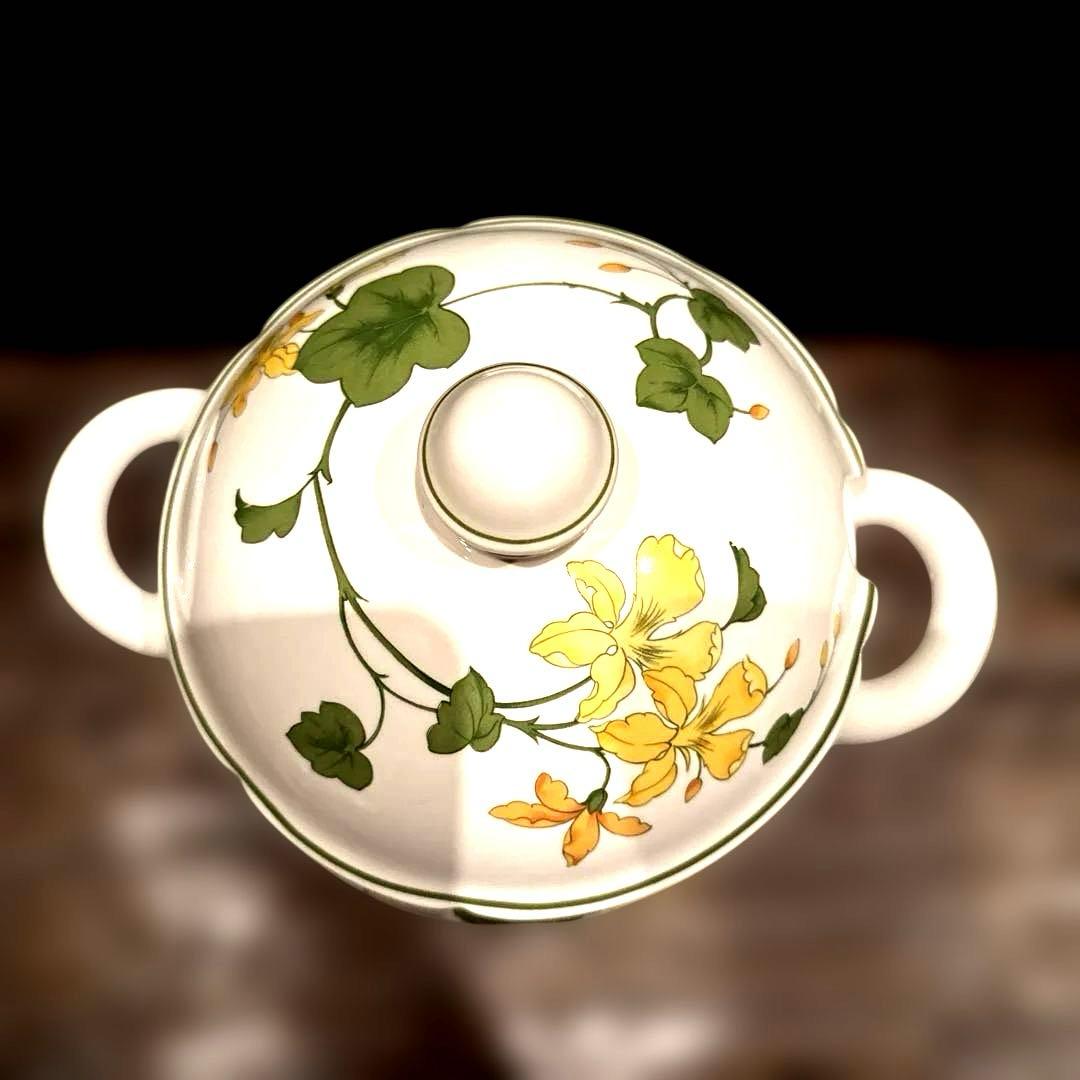 ビレロイ&ボッホゼラニウム未使用チューリーン