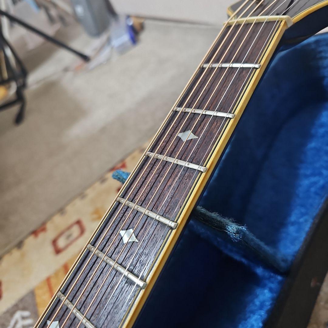 Aria.Elecod.FE-S80エレアコ珍品。