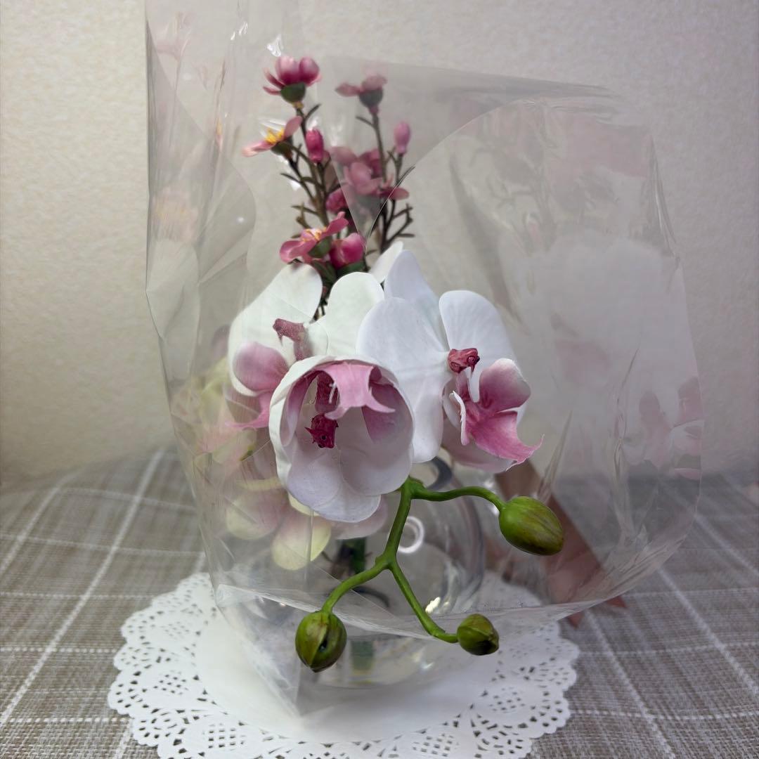 エミリオロバ アーティフィシャルフラワー 蘭 胡蝶蘭 ガラスベース ショッパー付