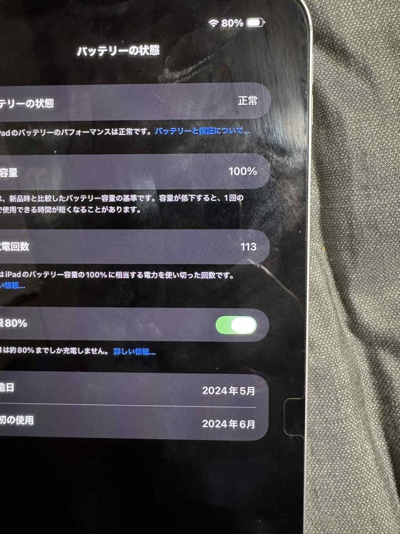 iPad Pro 11in M4 256 WiFi bat100% アップル購入