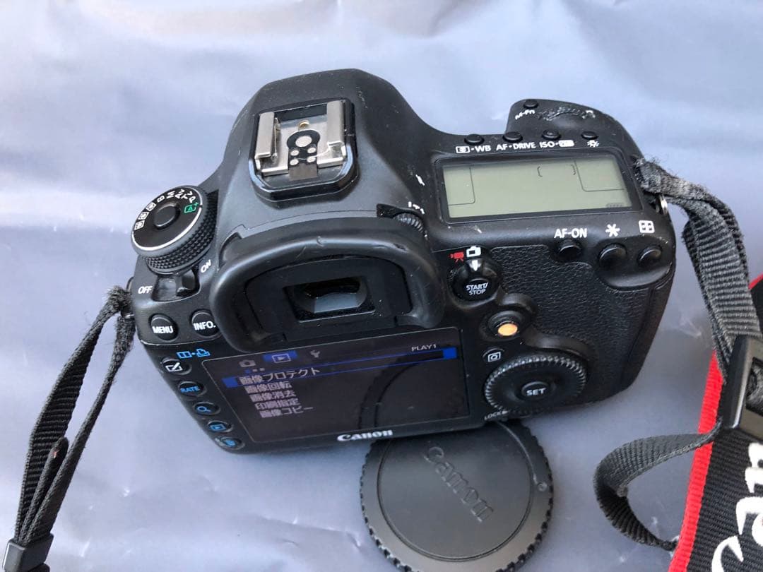 キヤノンEOS 5D Mark 3(D34)