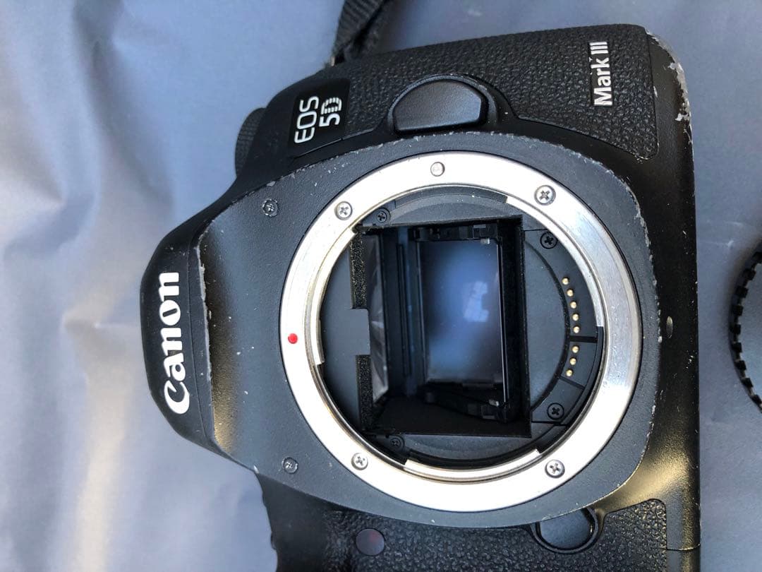 キヤノンEOS 5D Mark 3(D34)