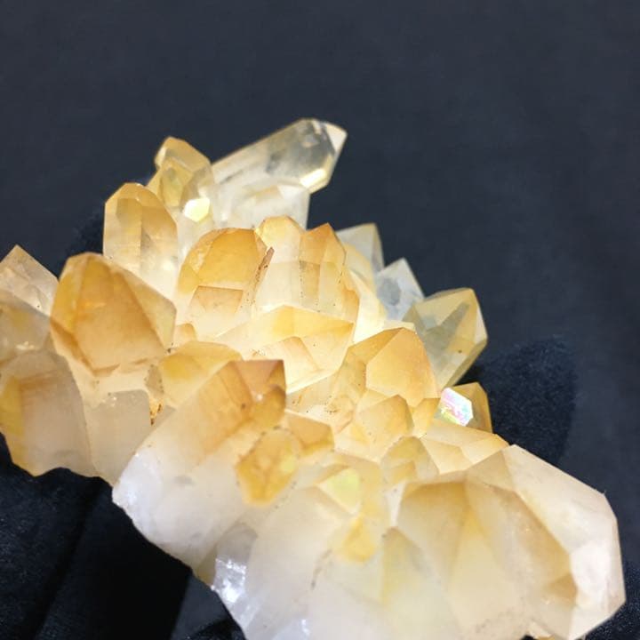 ゴールデンヒーラー アーカンソー産 100g