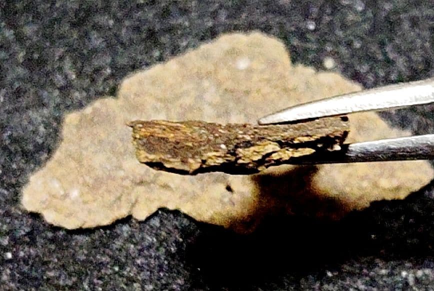 ★K-Pg境界層★山中地溝帯【イリジウム層+古第三紀層】