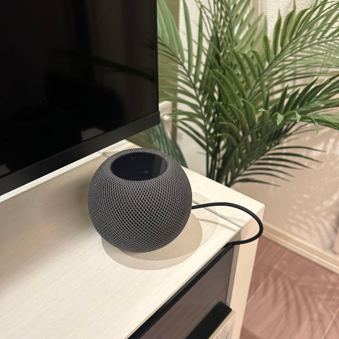 RE don　Apple Pod mini ☆