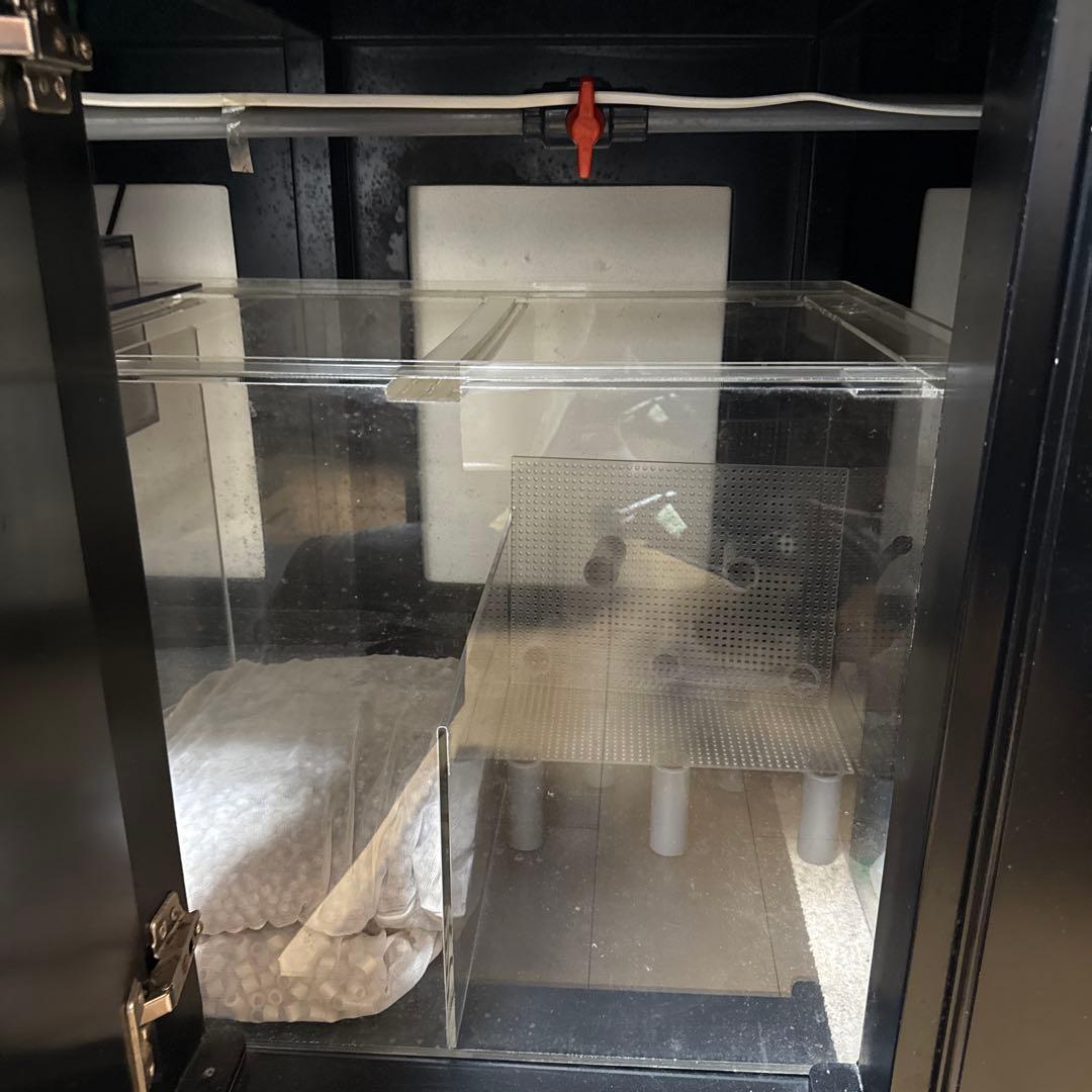 大きなガラス水槽 内蔵フィルター付き