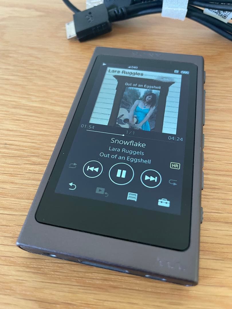 SONY WALKMAN NW-A45 32GBカード付き