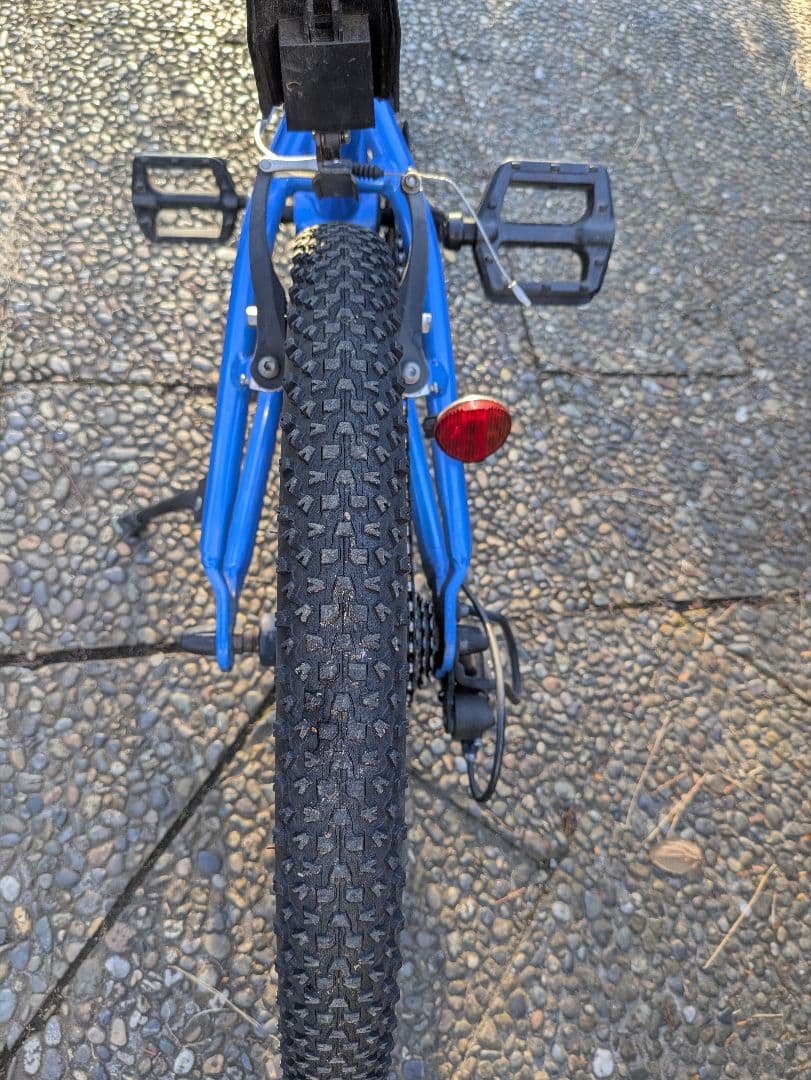 自転車 20インチ キッズバイク ジャイアント