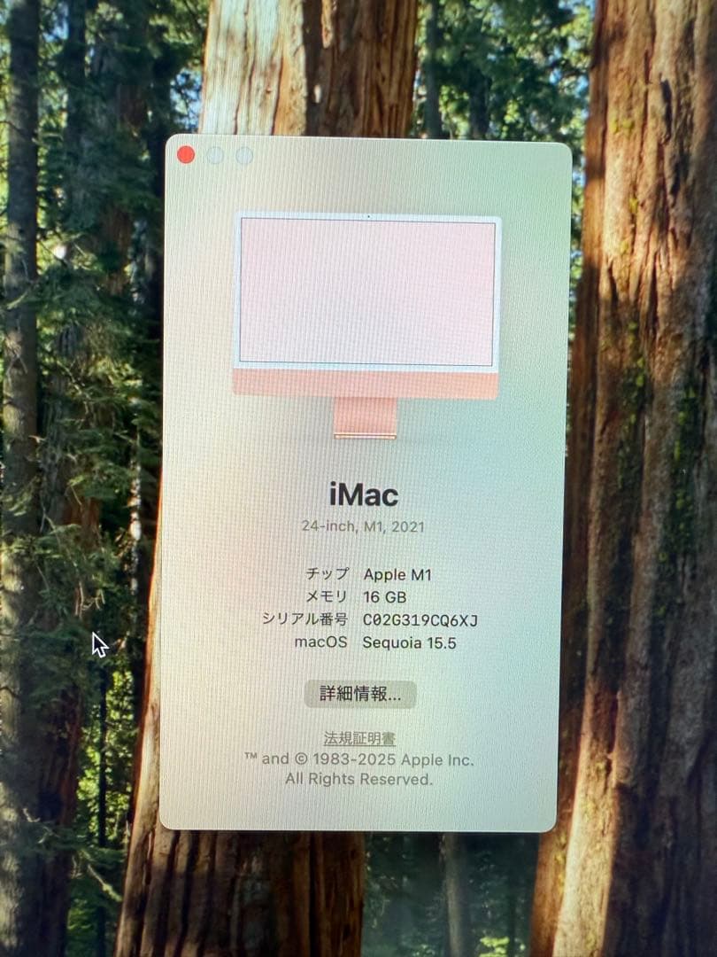 と*ろ様 【16GB 512GB SSD 】Apple iMac ローズゴールド