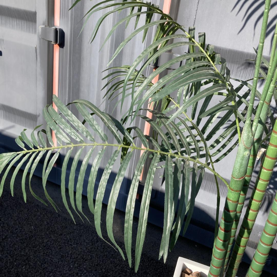 【お値下げOK】大型フェイクグリーン 光触媒人工植物 光の楽園 高さ約260cm