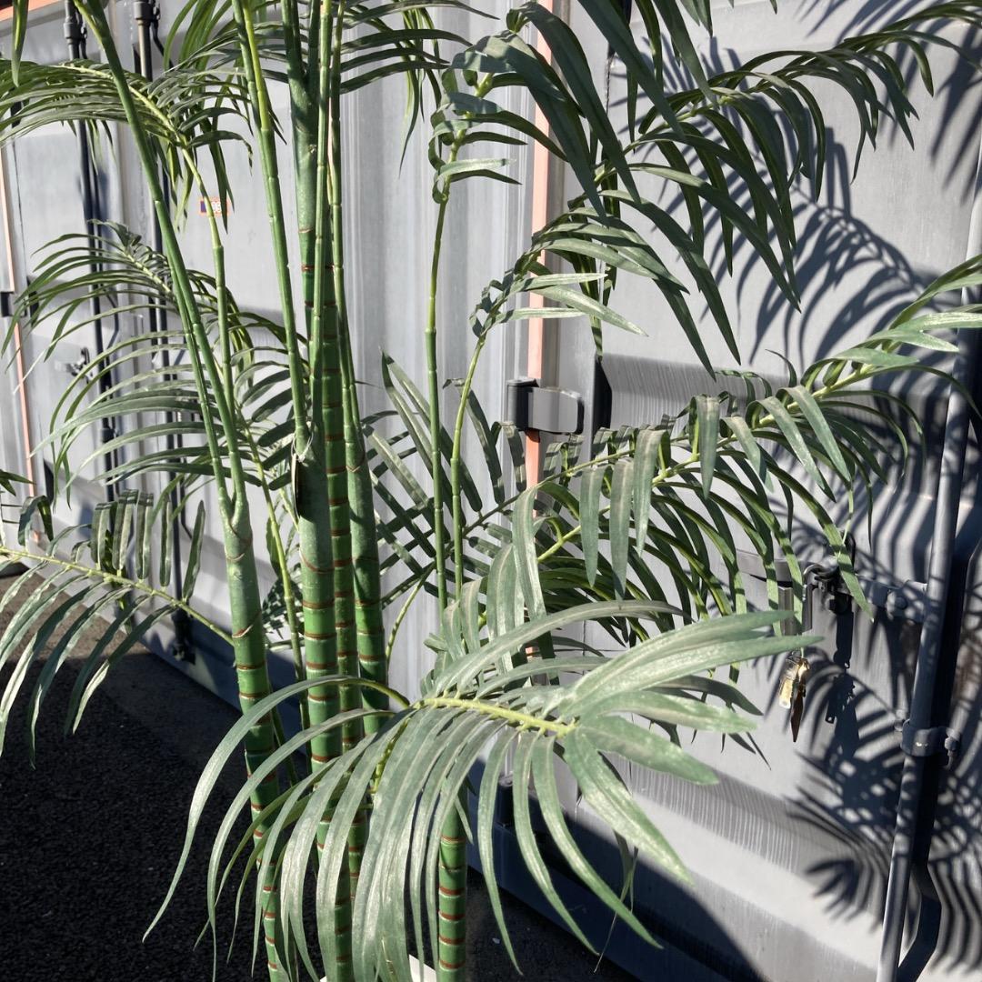 【お値下げOK】大型フェイクグリーン 光触媒人工植物 光の楽園 高さ約260cm