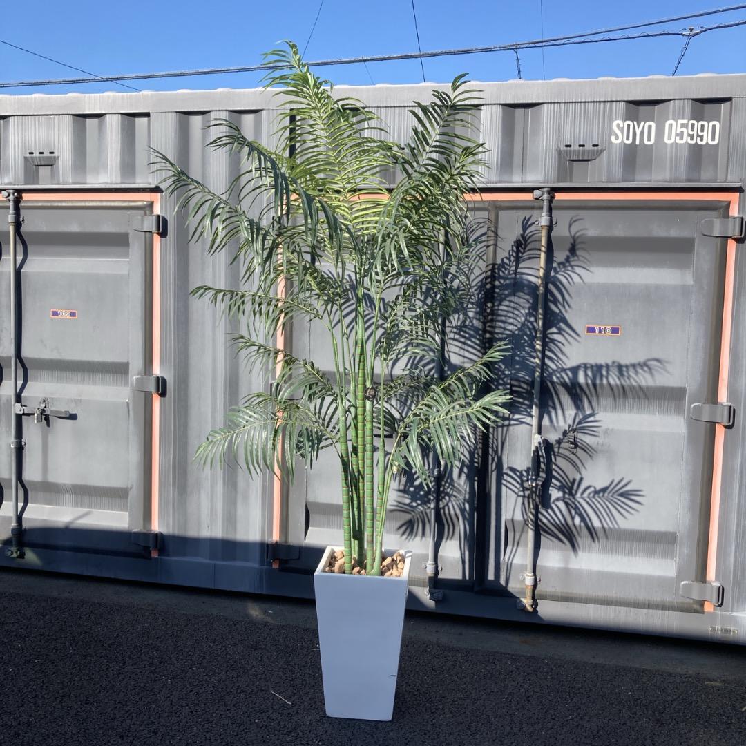 【お値下げOK】大型フェイクグリーン 光触媒人工植物 光の楽園 高さ約260cm