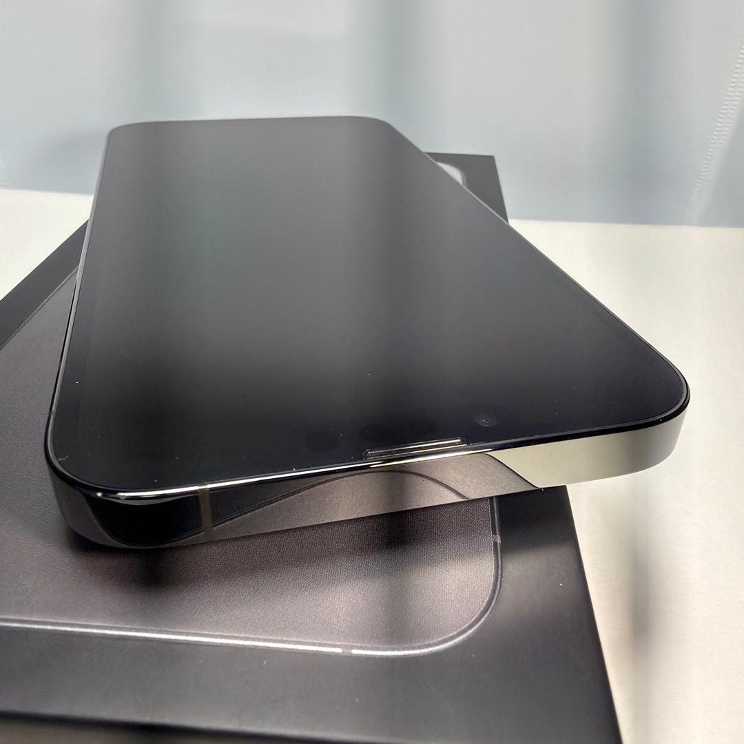 Apple iPhone 13 pro max 256GB （おまけ付き）