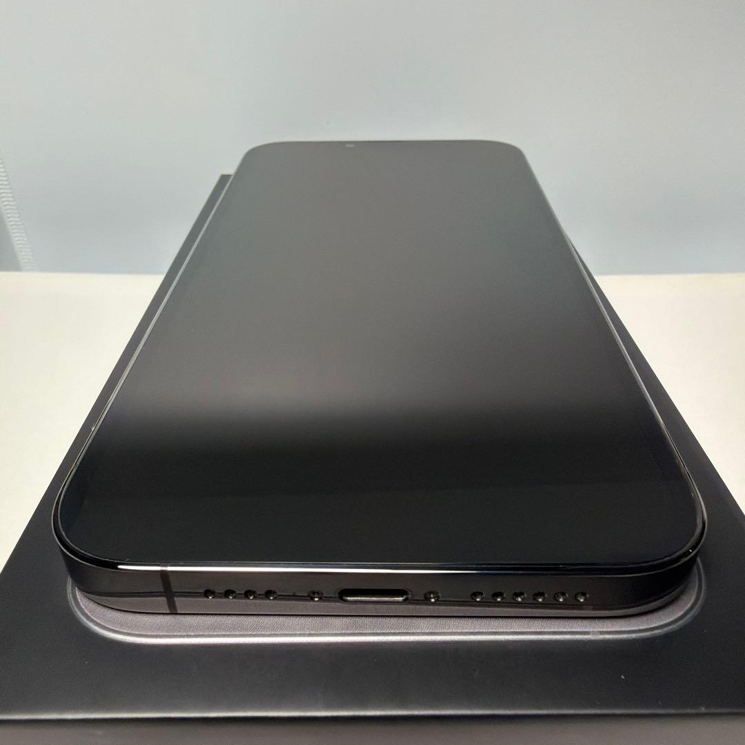 Apple iPhone 13 pro max 256GB （おまけ付き）