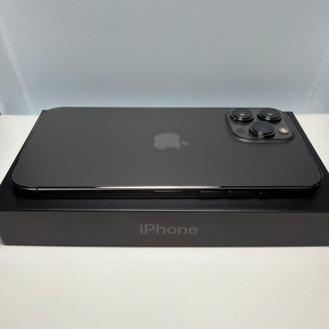 Apple iPhone 13 pro max 256GB （おまけ付き）