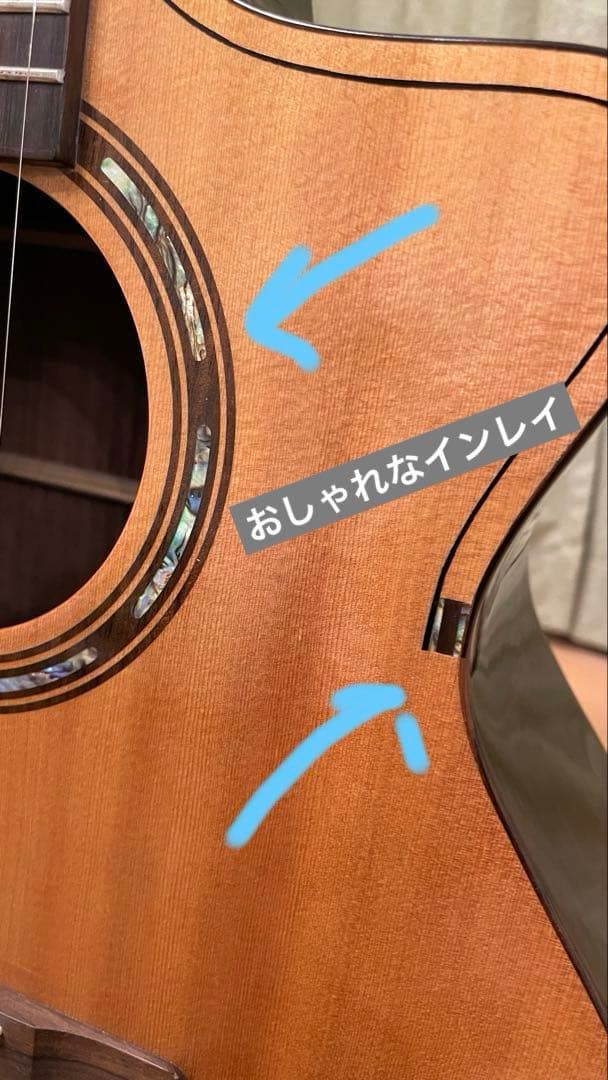 ◾️値下げ: DCT エレアコ G500C (本体状態良好:プリアンプ難あり)