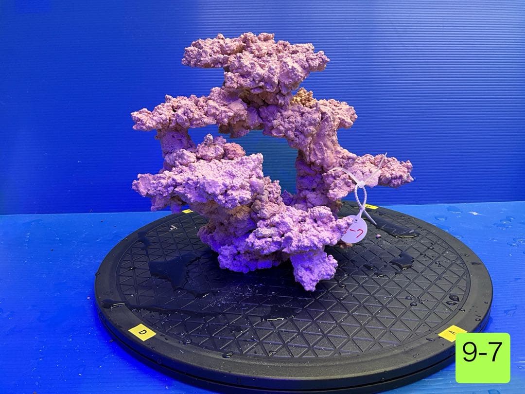 人工ライブロック　No.9-7 CO2 無害化処理済