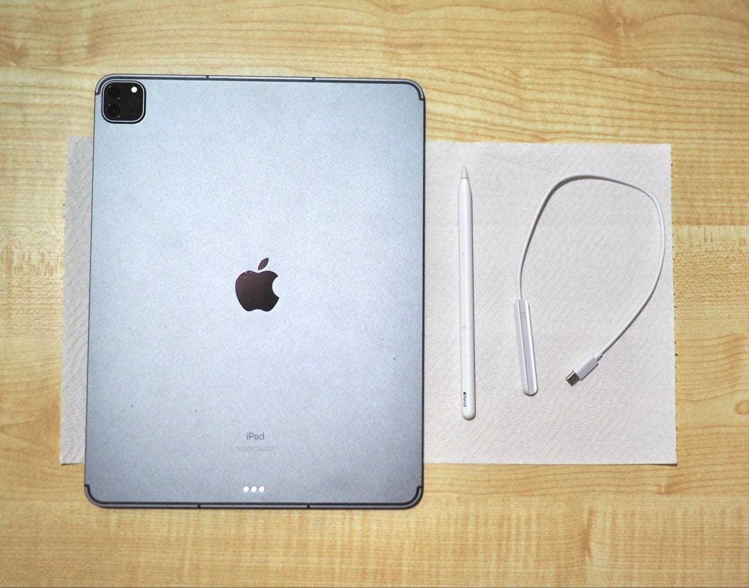 iPad Pro 12.9インチ (第5世代) Apple Pencil 付き