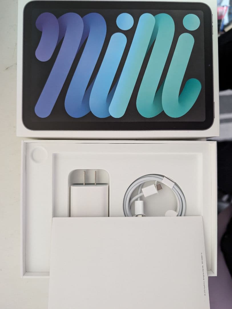 【ジャンク品】iPad mini 第6世代 64GB スペースグレー