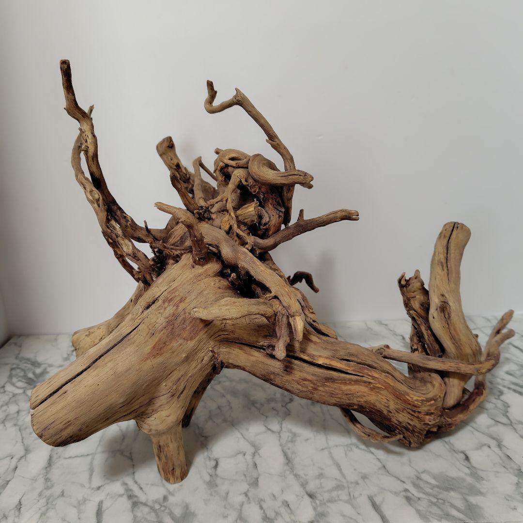 アク抜き済み流木【860】セール