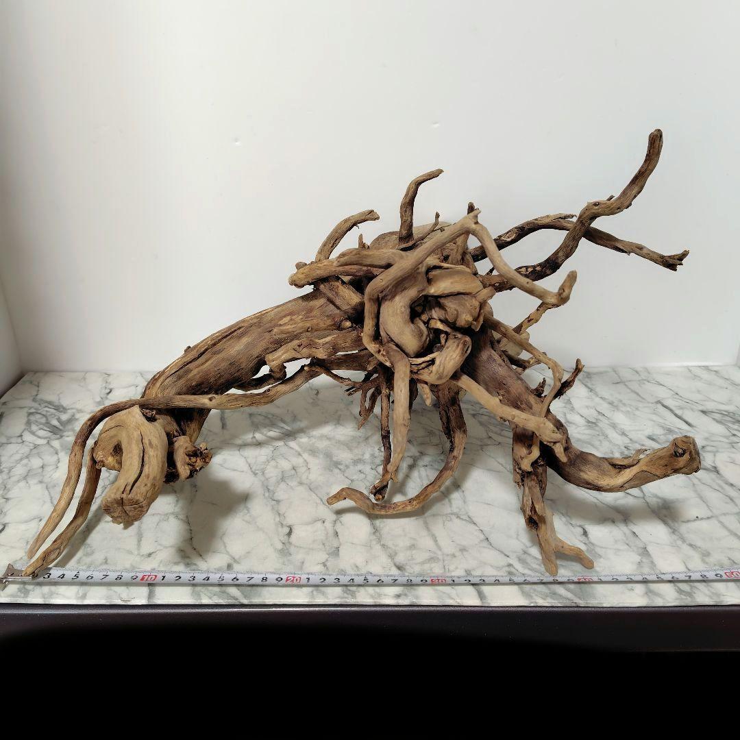 アク抜き済み流木【860】セール