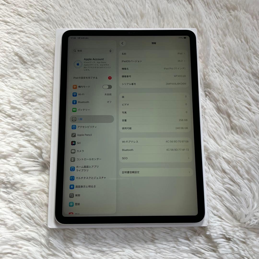 【早い者勝ち】iPad Pro 11インチ 第1世代 256GB 【すぐ発送】