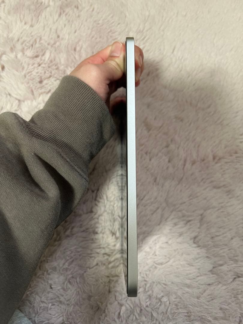 Apple iPad mini スターライト