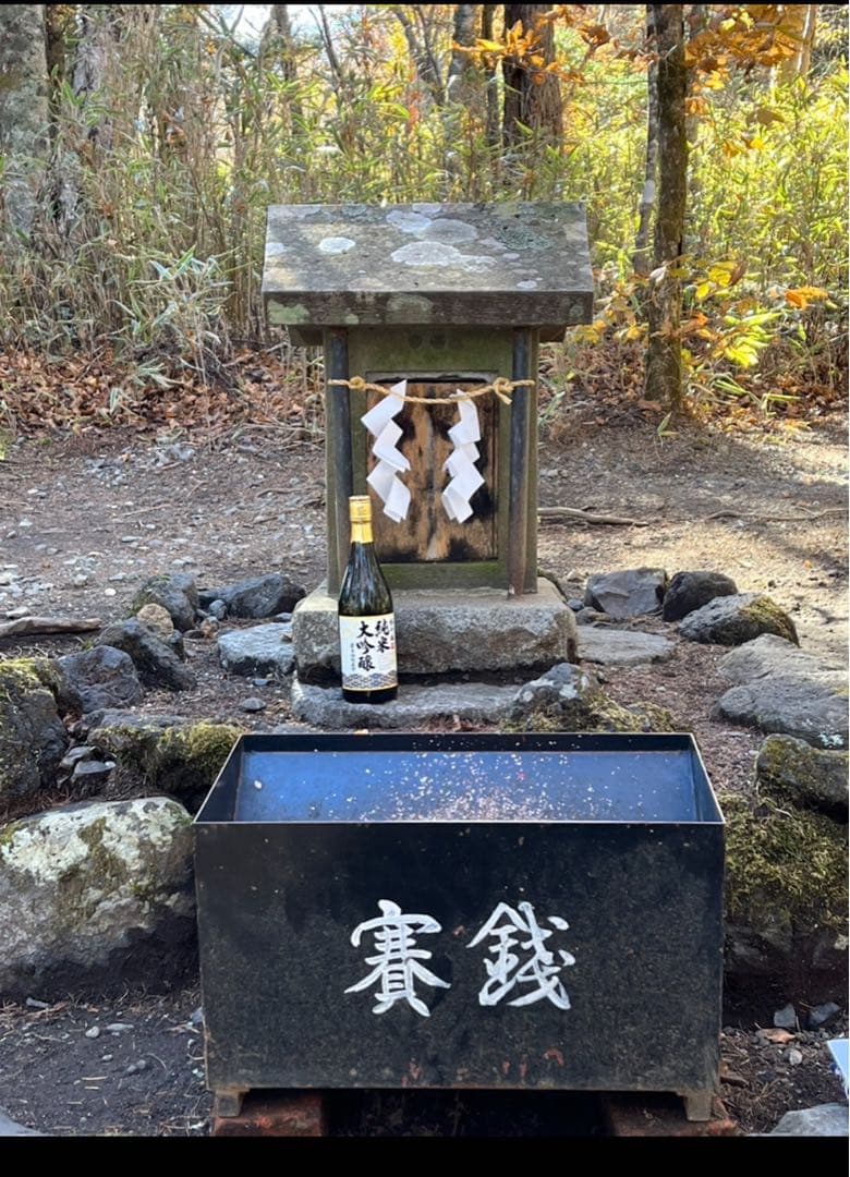 【水わらび】⭐️最強財運〜龍神様⭐️イケメン紫龍　ずっしり801g