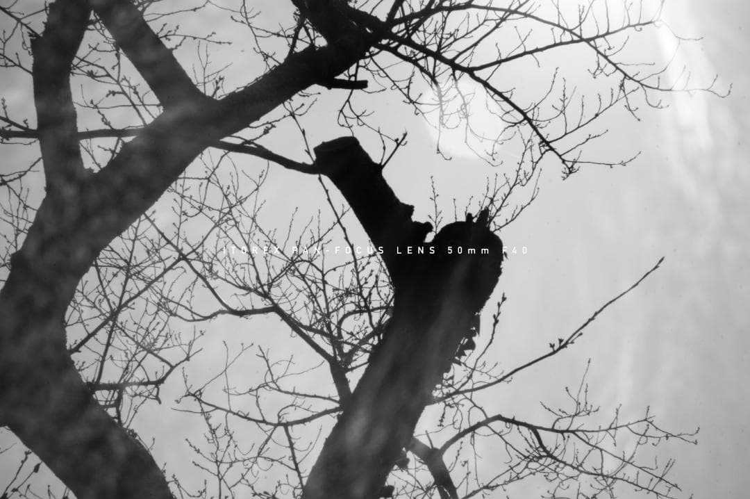 ★激レア★イトレックス PAN-FOCUS LENS 50mm Exakta