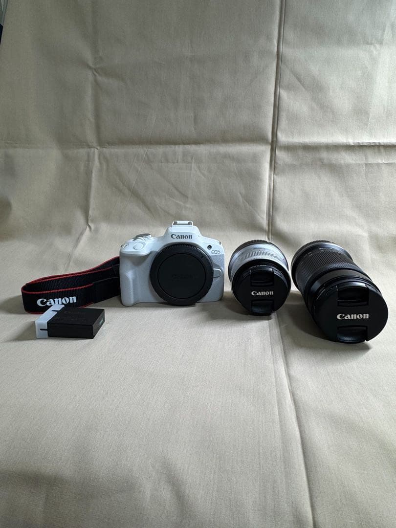 Canon EOS R50【極美品】付属品完備/予備バッテリー・プロテクター付