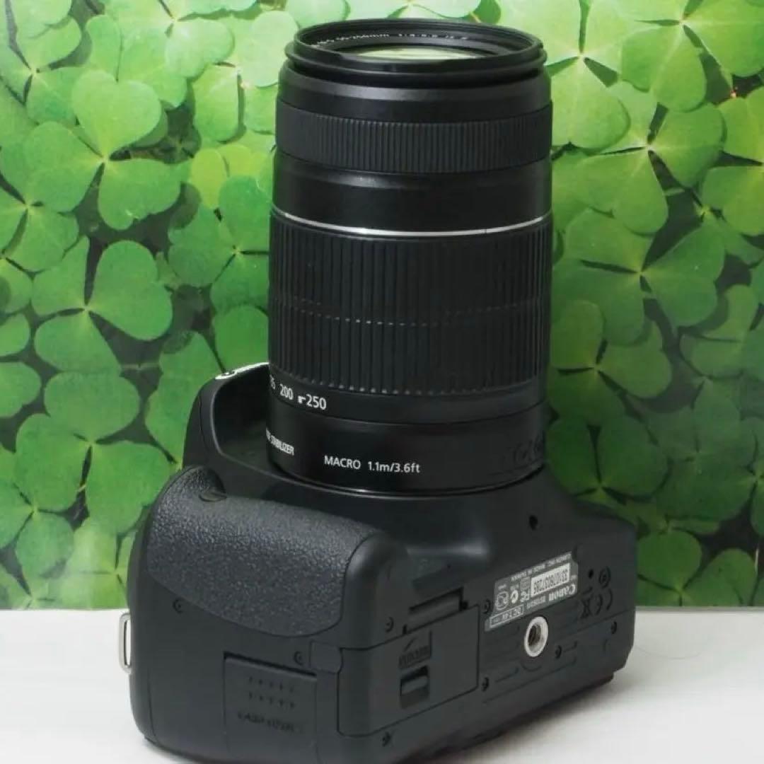 【美品】スマホへ転送も可 一眼で自撮りOK キャノンKissX5ダブルレンズ