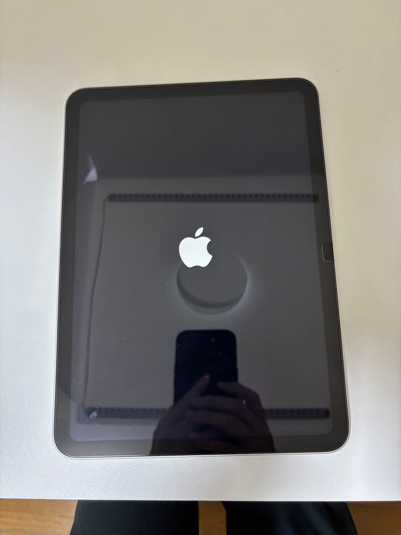 iPad無印 Wi-Fiモデル256GB 11インチＡ16 シルバー