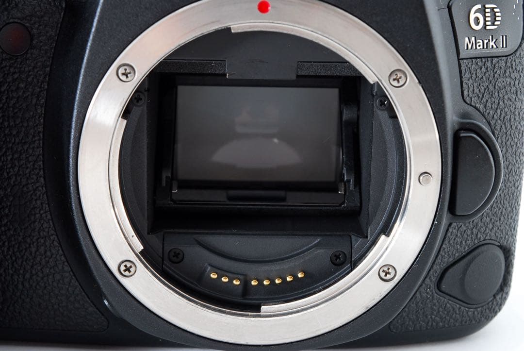 美品　Canon EOS 6D Mark II標準&望遠ダブルレンズセット