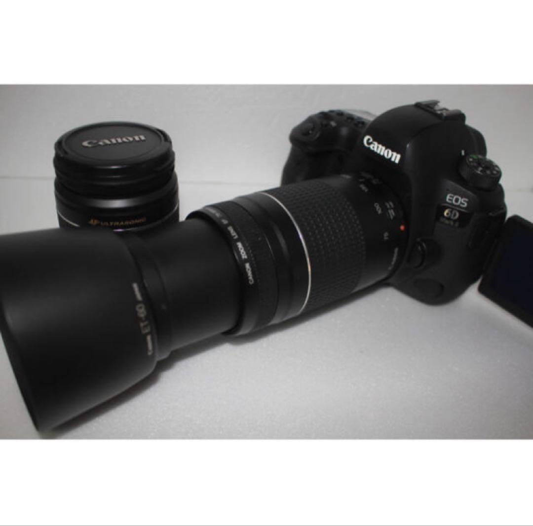 美品　Canon EOS 6D Mark II標準&望遠ダブルレンズセット