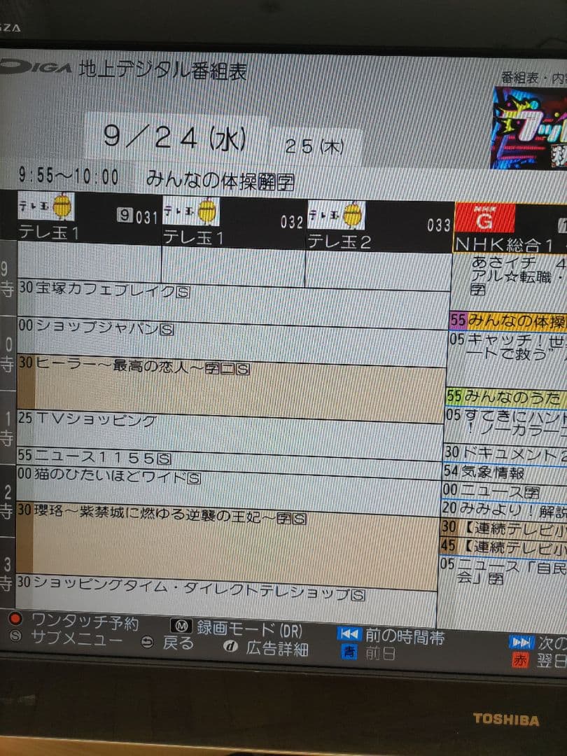 【美品】 Panasonic DMR-2W201 ブルーレイディスクレコーダ