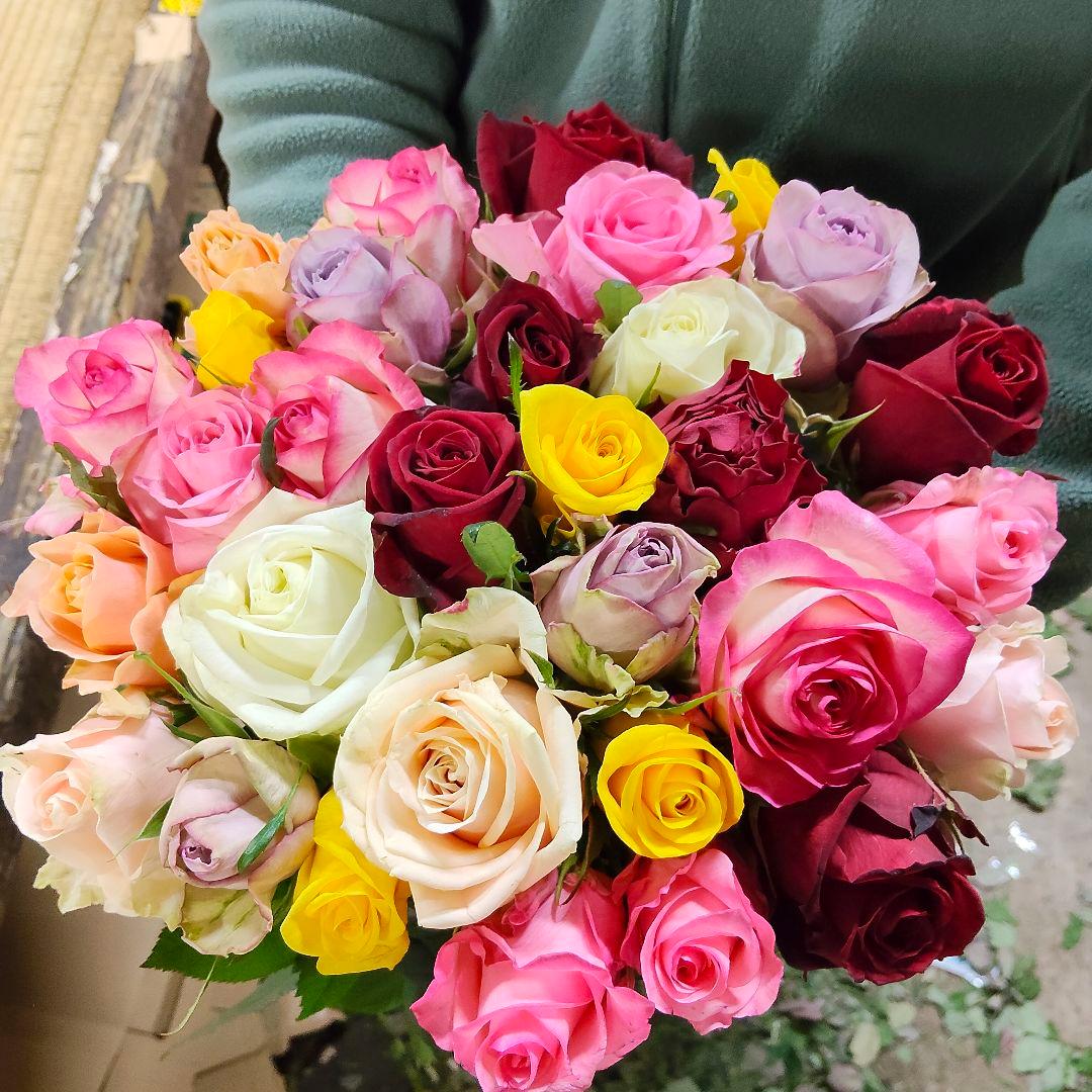 ぽよんちゃ様同梱(切り花 生花 バラ)